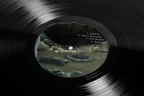 The Animal Manual Vinyl LP (Black)