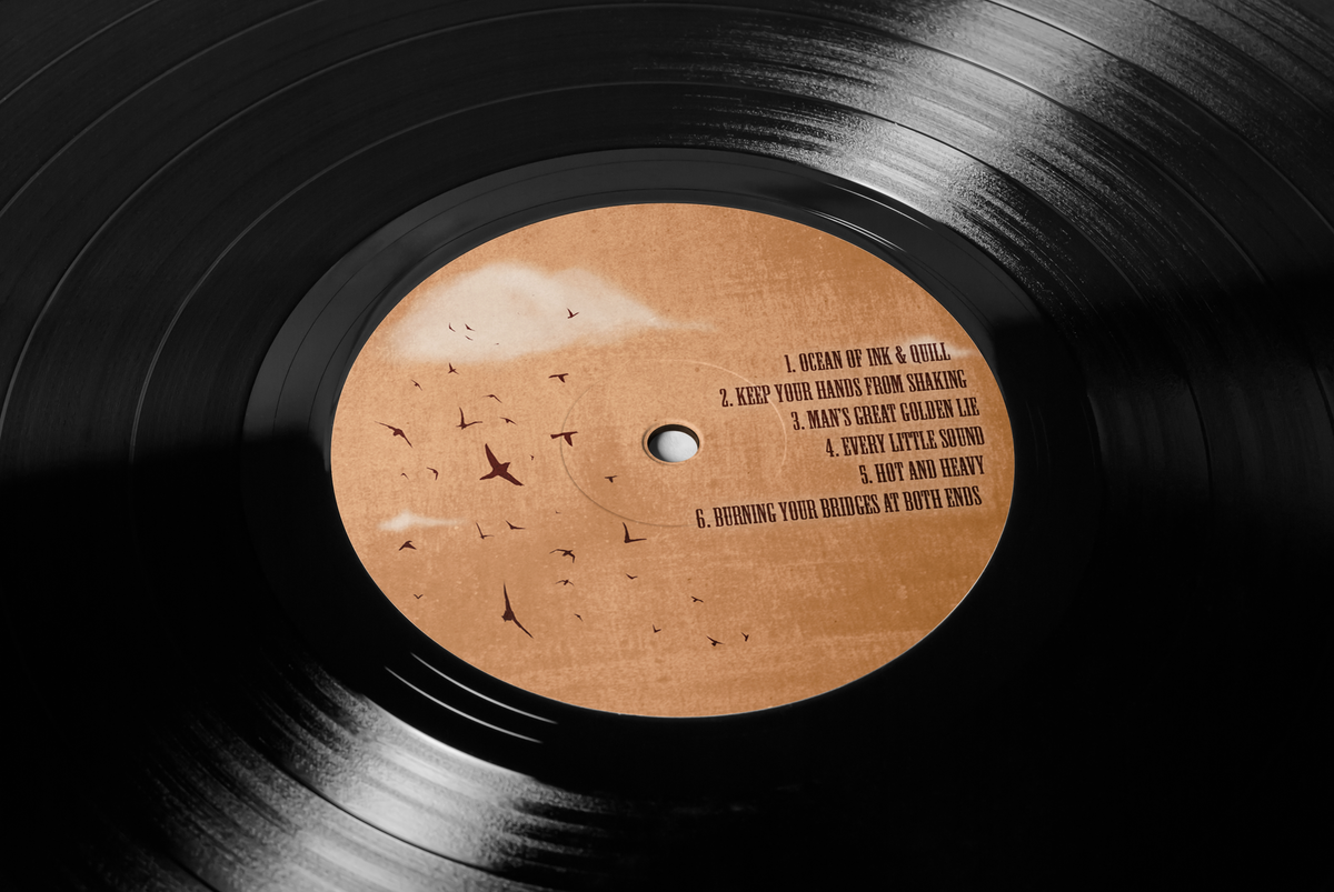 A Most Clever Disaster Vinyl LP (Black)