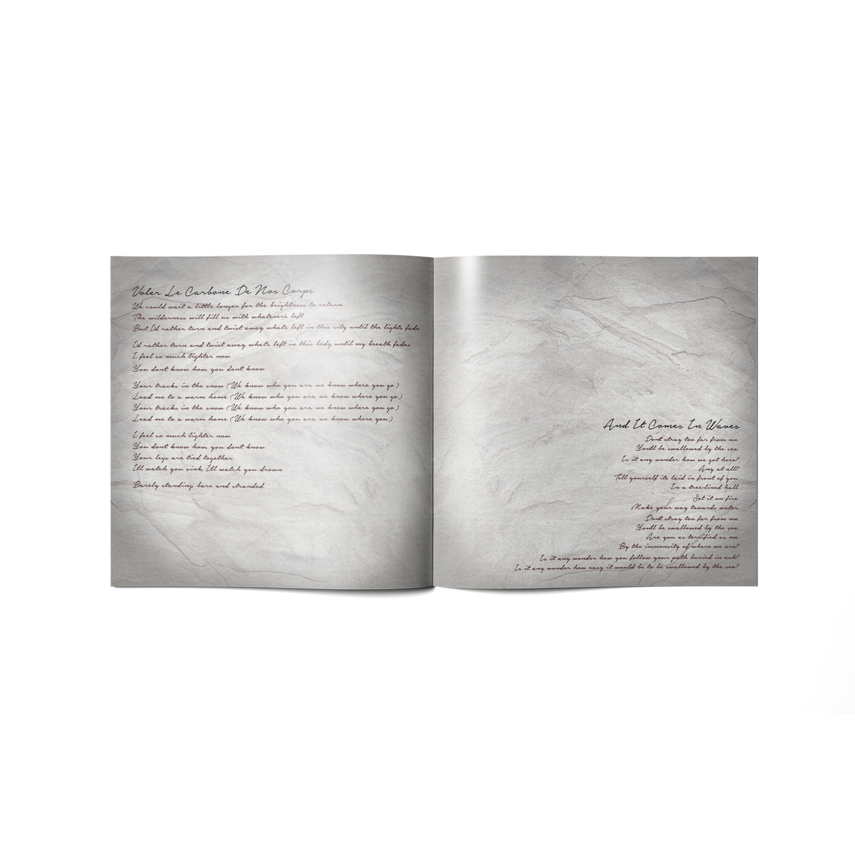 The Animal Manual CD